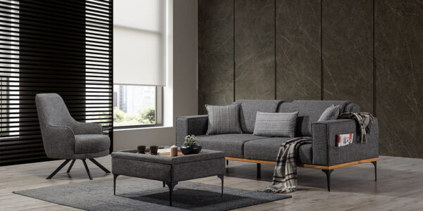 Kral Koltuk Takımı