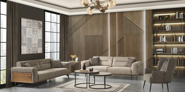 Asya Koltuk Takımı